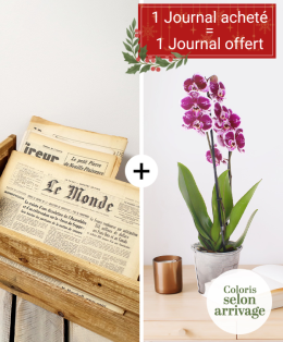 Journal & orchidée