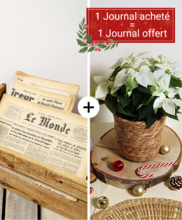 Journal & Plante de Noël