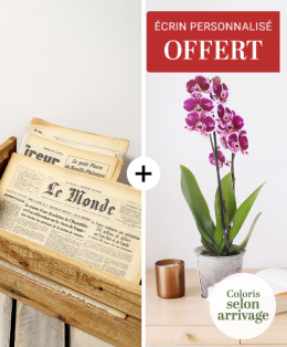 Journal & orchidée